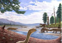 Africa’s oldest dinosaur unearthed in Zimbabwe Africa's oldest dinosaur unearthed in Zimbabwe