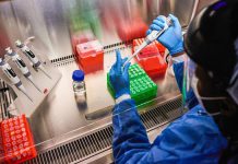 Most of Africa’s Covid variants came from abroad, new report finds Most of Africa’s Covid variants came from abroad, new report finds