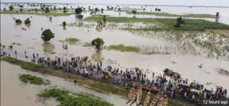 West Africa Floods Destroy Crops, Worsening Hunger Fears - Gambia