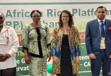 UK invests in West Africa’s agriculture sector UK invests in West Africa’s agriculture sector