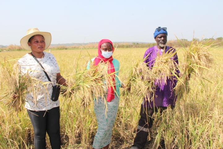 Administrators, beneficiaries applaud GIRAV project’s contributions to improving food security and nutrition Administrators, beneficiaries applaud GIRAV project’s contributions to improving food security and nutrition