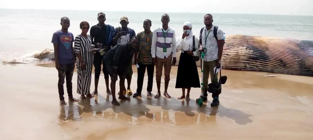 Parks And Wildlife Suspect Foreign Fishing Trawlers For Dead Of Whale At Barra Parks And Wildlife Suspect Foreign Fishing Trawlers For Dead Of Whale At Barra