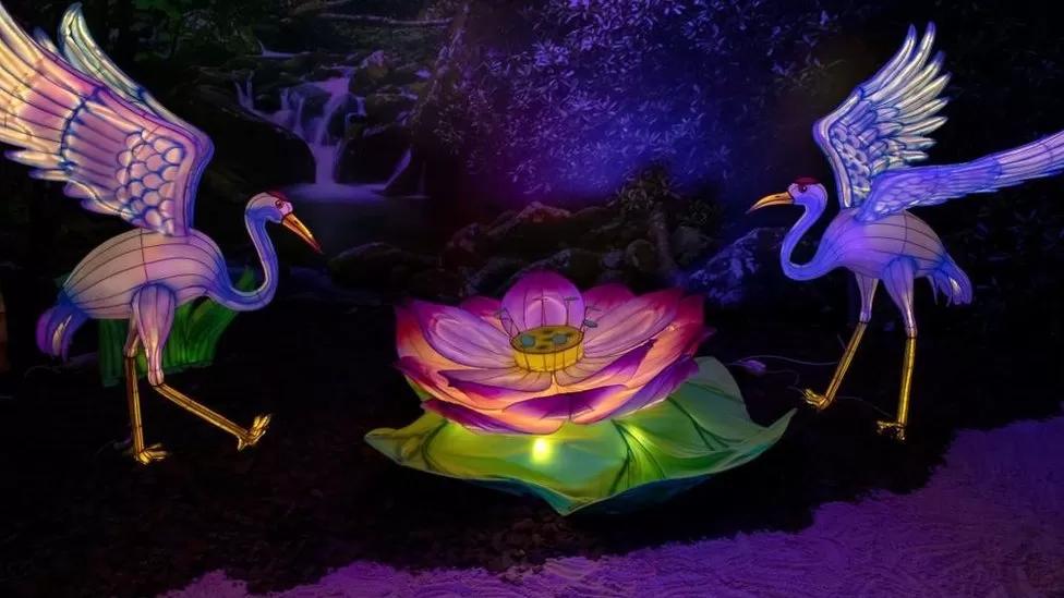 Africa's week in pictures: 10-16 March Africa's week in pictures: 10-16 March