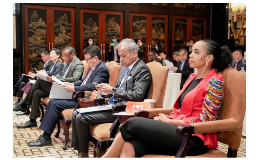 Experts discuss African industrial chain and enhancing value-addition to the continent’s products Experts discuss African industrial chain and enhancing value-addition to the continent’s products