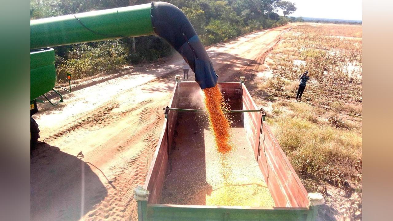 Food safety in The Gambia - Gambia