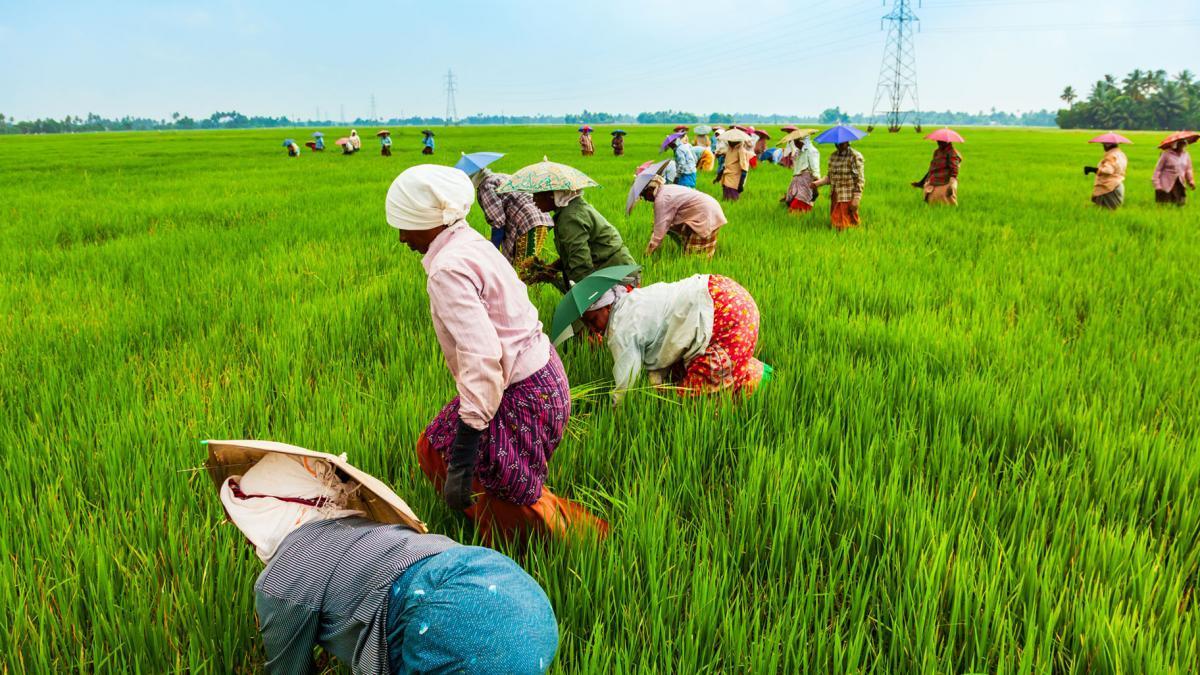 West Africa heads of state and the Sahel ready to Invest in Fertilizers for Agricultural Transformation West Africa heads of state and the Sahel ready to Invest in Fertilizers for Agricultural Transformation