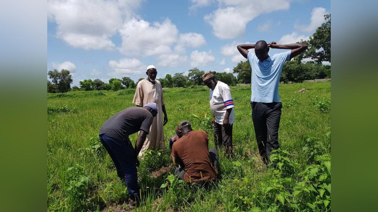 Residents of Kiang Jali plants over 2000 seedlings to fight deforestation and minimise impact of climate change Residents of Kiang Jali plants over 2000 seedlings to fight deforestation and minimise impact of climate change