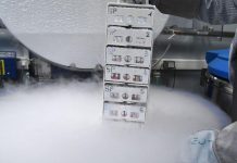 Project to create the largest database on the African genome Project to create the largest database on the African genome