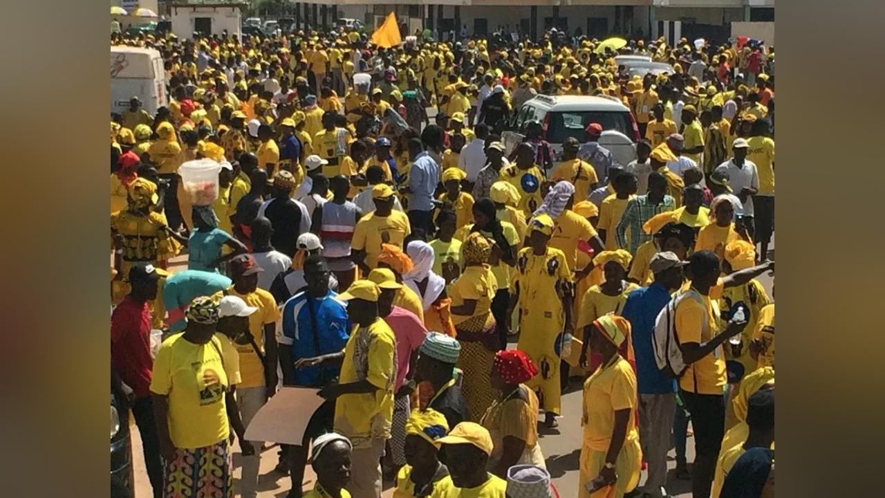 UDP To Hold Election For New Campaign Manager