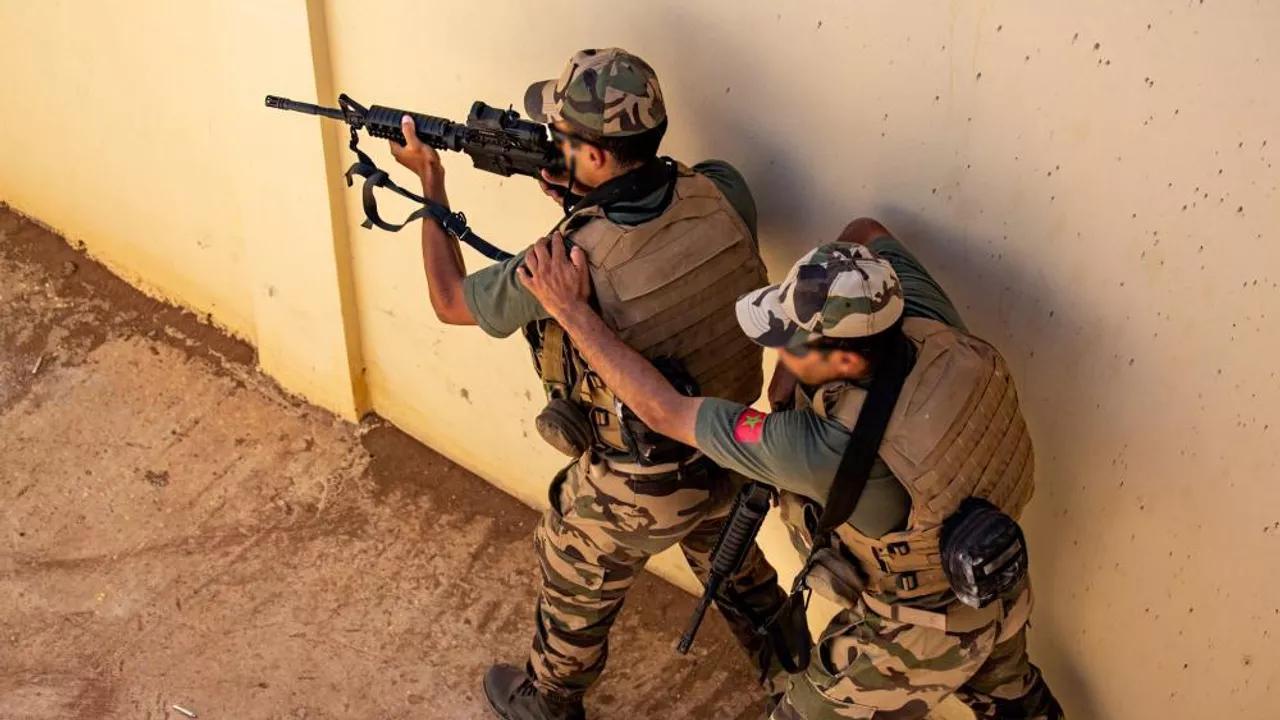 US Drills in Africa is Part of 'Offensive:' Expert on Large-Scale African Lion Military Exercise US Drills in Africa is Part of 'Offensive:' Expert on Large-Scale African Lion Military Exercise