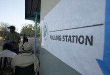 Year in Review: African Elections in 2024 Year in Review: African Elections in 2024