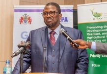 Three Gambian Migrant Workers Abscond in Spain, Government Confirms Three Gambian Migrant Workers Abscond in Spain, Government Confirms