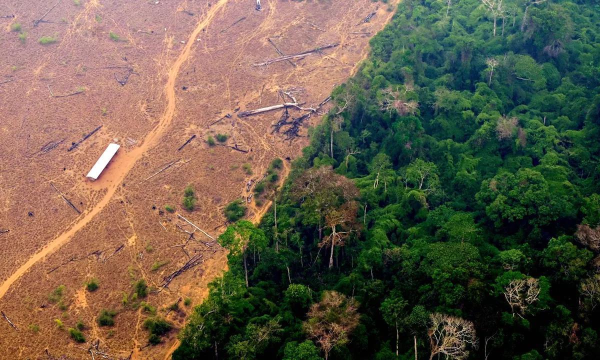 Africa Achieves Historic Minerals Recognition in Climate Deal Africa Achieves Historic Minerals Recognition in Climate Deal