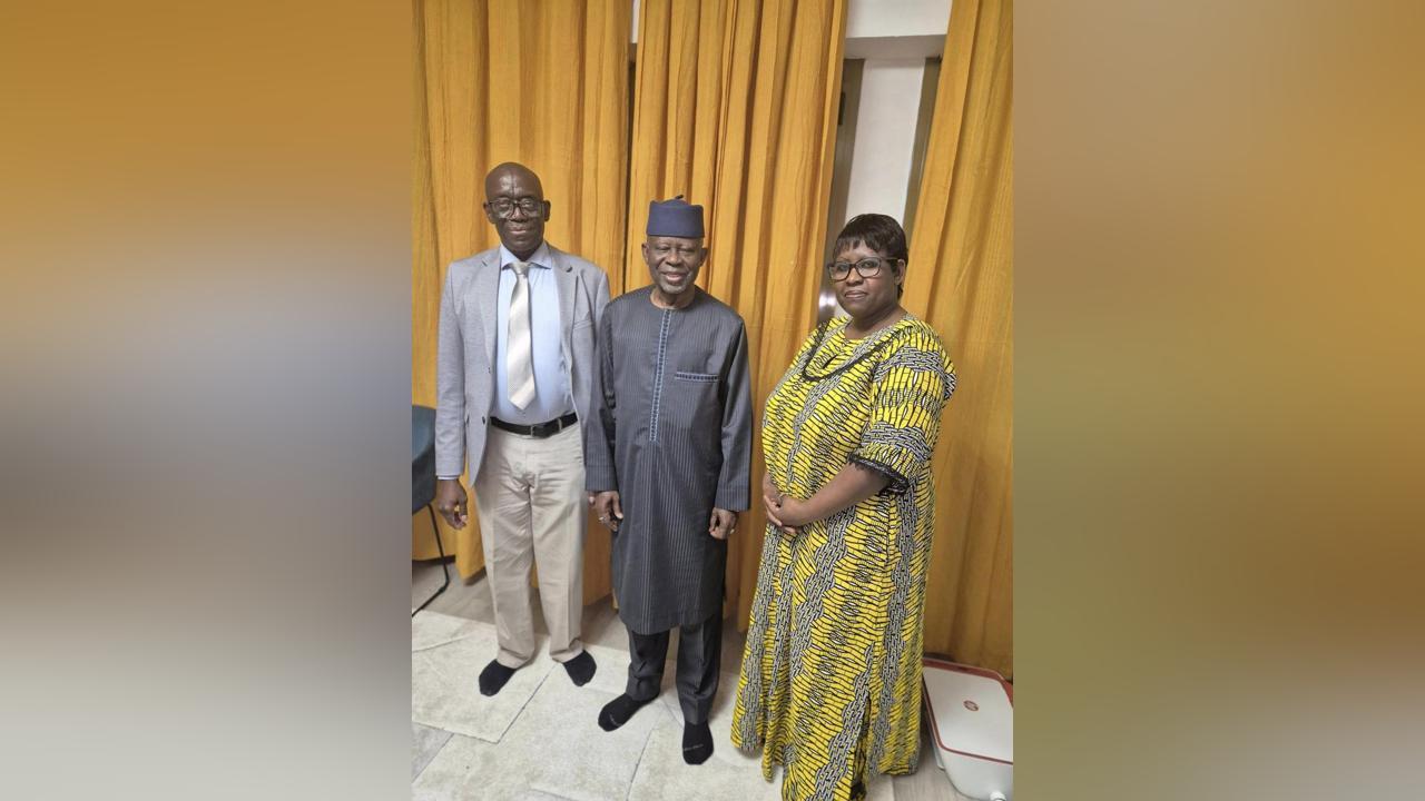 Darboe Promises Political Representation for Gambians Abroad Darboe Promises Political Representation for Gambians Abroad