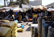 Using AI to Develop the Informal Economy in Africa Using AI to Develop the Informal Economy in Africa