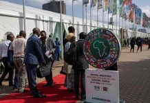 African Countries Need Strong Development Banks to Push Back African Countries Need Strong Development Banks to Push Back