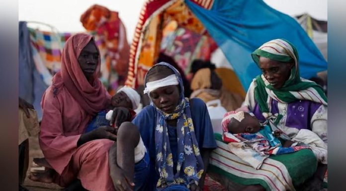 El Fasher Falls: is Sudan’S Partition now Inevitable? El Fasher Falls: is Sudan’S Partition now Inevitable?