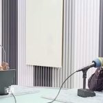 UDP Leader Denies Knowledge of ID Card Policy for Diaspora UDP Leader Denies Knowledge of ID Card Policy for Diaspora