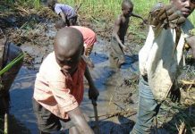 Selective Justice of Reed Brody’S Hypocritical Approach Selective Justice of Reed Brody'S Hypocritical Approach