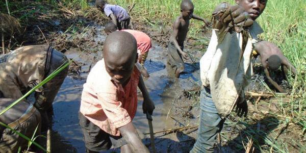 Selective Justice of Reed Brody'S Hypocritical Approach Selective Justice of Reed Brody'S Hypocritical Approach