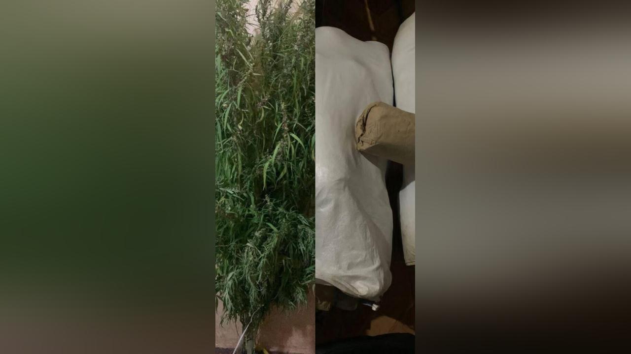 DLEAG Arrests Multiple Suspects for Drug-Related Offences DLEAG Arrests Multiple Suspects for Drug-Related Offences