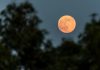 Beaver Supermoon Captured Around the World Beaver Supermoon Captured Around the World