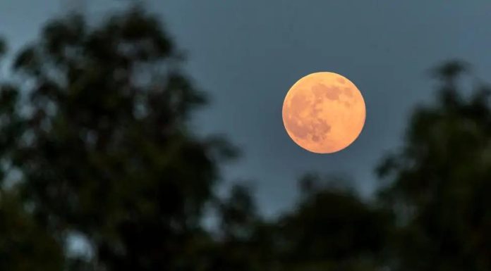 Beaver Supermoon Captured Around the World Beaver Supermoon Captured Around the World