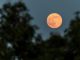 Beaver Supermoon Captured Around the World Beaver Supermoon Captured Around the World