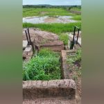 Wasted Millions and Missed Food Security Opportunities Wasted Millions and Missed Food Security Opportunities