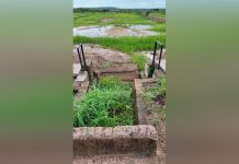 Wasted Millions and Missed Food Security Opportunities Wasted Millions and Missed Food Security Opportunities