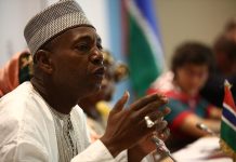 Hamat NK Bah Denies Purchasing Former President Jammeh’S Cattle Hamat NK Bah Denies Purchasing Former President Jammeh’S Cattle