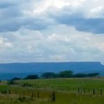 Africa’S Longest-Running Grassland Research Project Africa'S Longest-Running Grassland Research Project