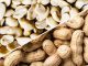 CRR Farmers Raise Concern over Groundnut Farm-Gate Price CRR Farmers Raise Concern over Groundnut Farm-Gate Price