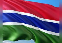 Groundnut Decline – Value Chain or Democracy Deficit? Groundnut Decline – Value Chain or Democracy Deficit?