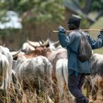Africa’S Drylands Require Support for Pastoralists Africa'S Drylands Require Support for Pastoralists
