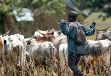 Africa’S Drylands Require Support for Pastoralists Africa'S Drylands Require Support for Pastoralists