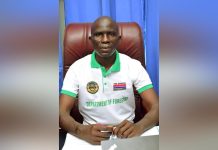 Forestry Department Launches 30 Million Gmelina Seedlings Forestry Department Launches 30 Million Gmelina Seedlings