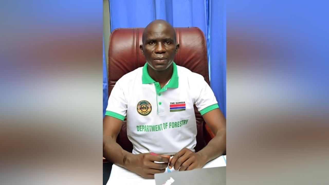 Forestry Department Launches 30 Million Gmelina Seedlings Forestry Department Launches 30 Million Gmelina Seedlings