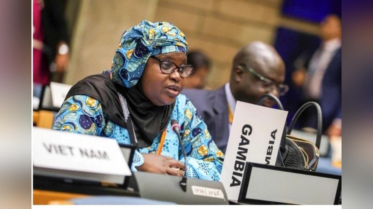 Gambia Urges Stronger Global Partnerships against Pollution Gambia Urges Stronger Global Partnerships against Pollution