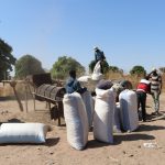 Farmers Praise Digital Groundnut Buying and Instant Payouts Farmers Praise Digital Groundnut Buying and Instant Payouts