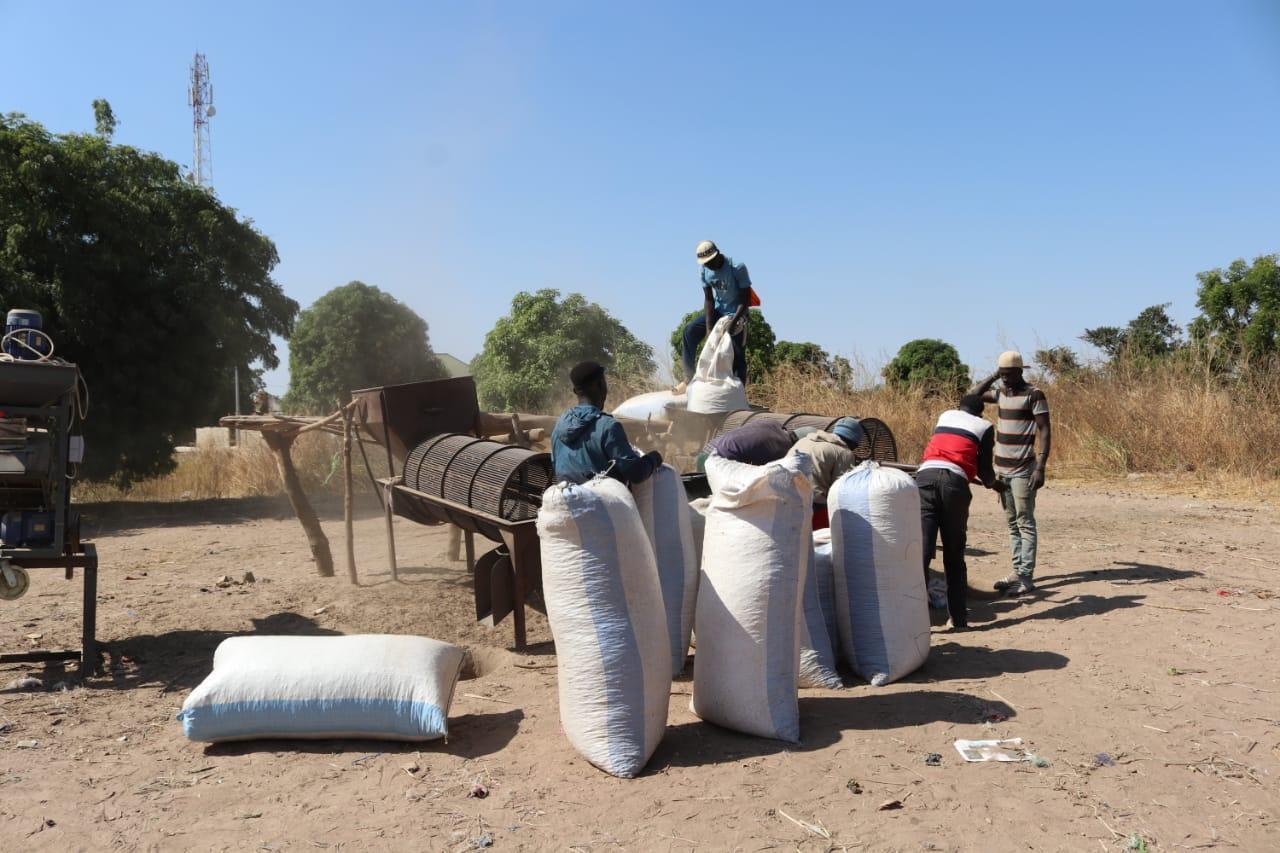 Farmers Praise Digital Groundnut Buying and Instant Payouts Farmers Praise Digital Groundnut Buying and Instant Payouts