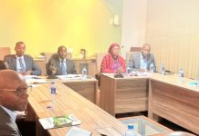 Auditor General Reveals D34 Million Government Arrears Auditor General Reveals D34 Million Government Arrears