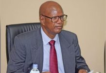 Demba Ali Jawo on the Possibilities of A Coalition Demba Ali Jawo on the Possibilities of A Coalition