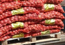 Onion Import Restriction Political Theater over Support Onion Import Restriction Political Theater over Support