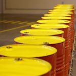 What does the Government of the Gambia Say about This? What does the Government of the Gambia Say about This?