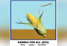 GFA Calls out the Government’S Failure on Electricity GFA Calls out the Government’S Failure on Electricity