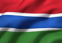 Gambian Entrepreneurs – the Pride of the Gambia Gambian Entrepreneurs – the Pride of the Gambia