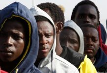 Gambia Immigration Detains 107 Migrants in Five Areas Gambia Immigration Detains 107 Migrants in Five Areas
