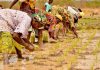 What is Better for Farmers and Workers? What is Better for Farmers and Workers?