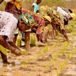 What is Better for Farmers and Workers? What is Better for Farmers and Workers?